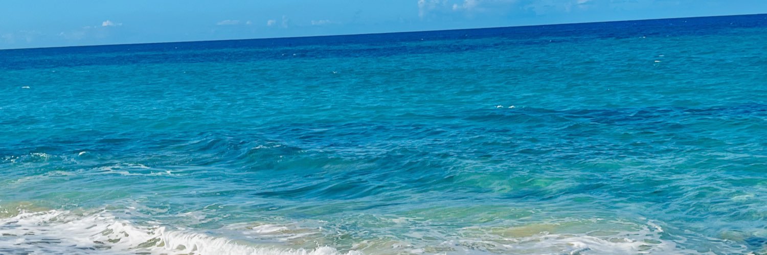 Ruth Michele banner
