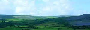 RuralFutures's profile banner image