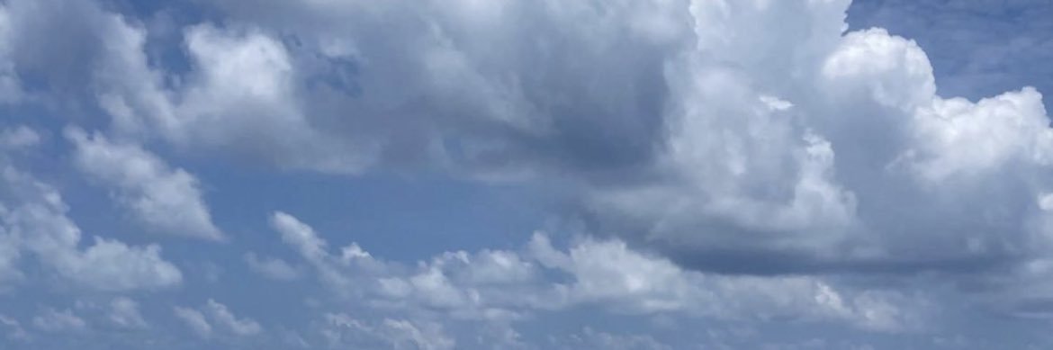 rro9aa's profile banner image