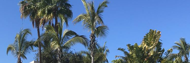 tracy_faruga's profile banner image