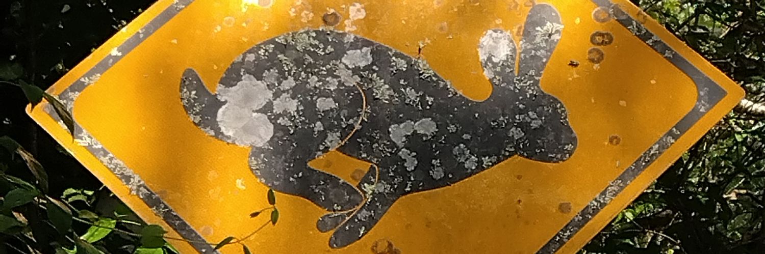 じぇいど🐇 banner