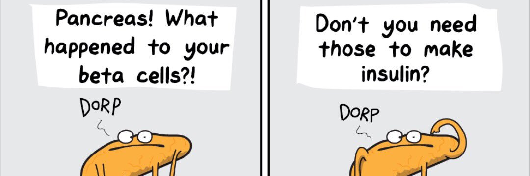 Rafael Vidal 🇲🇽 banner