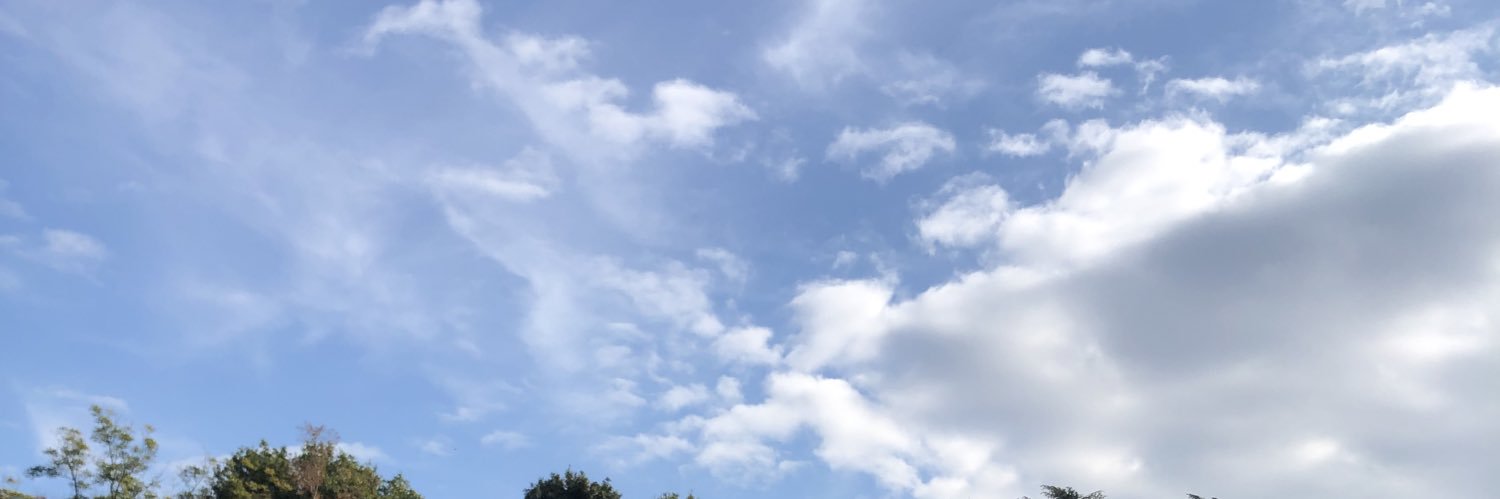 beerhole's profile banner image