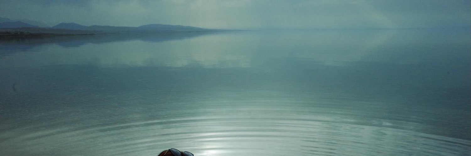 Syinat Sultanalieva banner