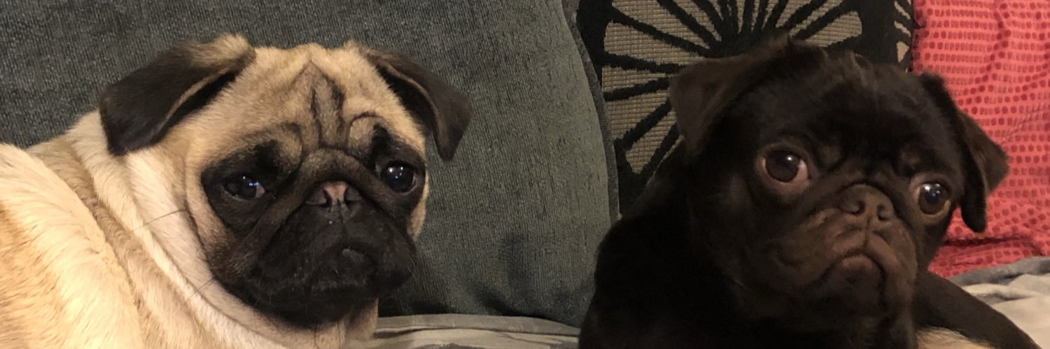 DoodleGmail's profile banner image