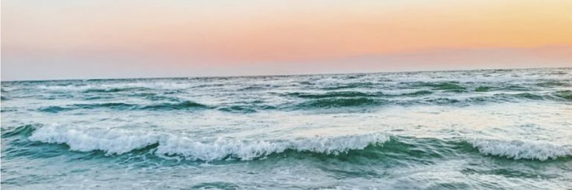 Vania Rodriguez banner