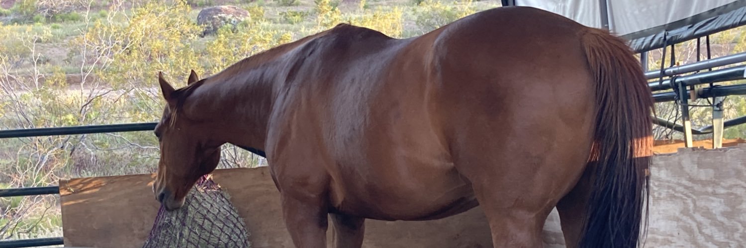 Erin Clark 🇺🇸 banner