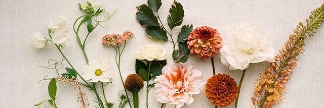 ❀̥⍣ banner