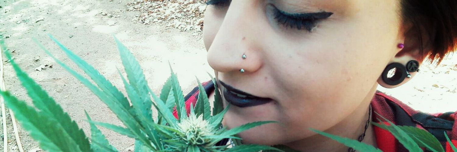 aliciaaramirez9's profile banner image