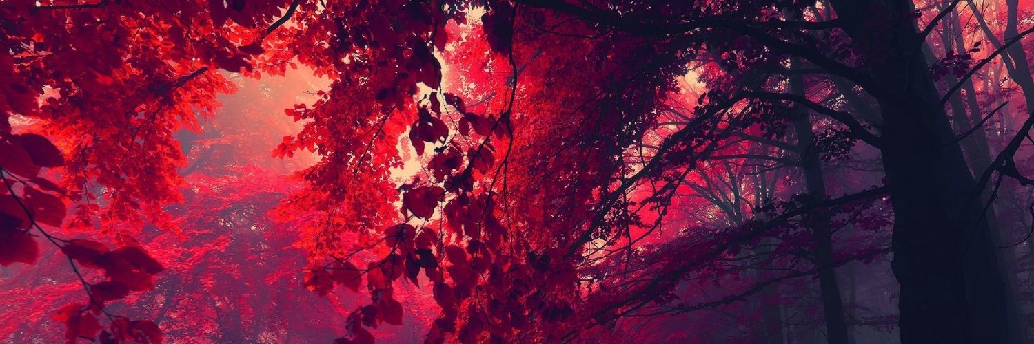 itsMeTuzi's profile banner image