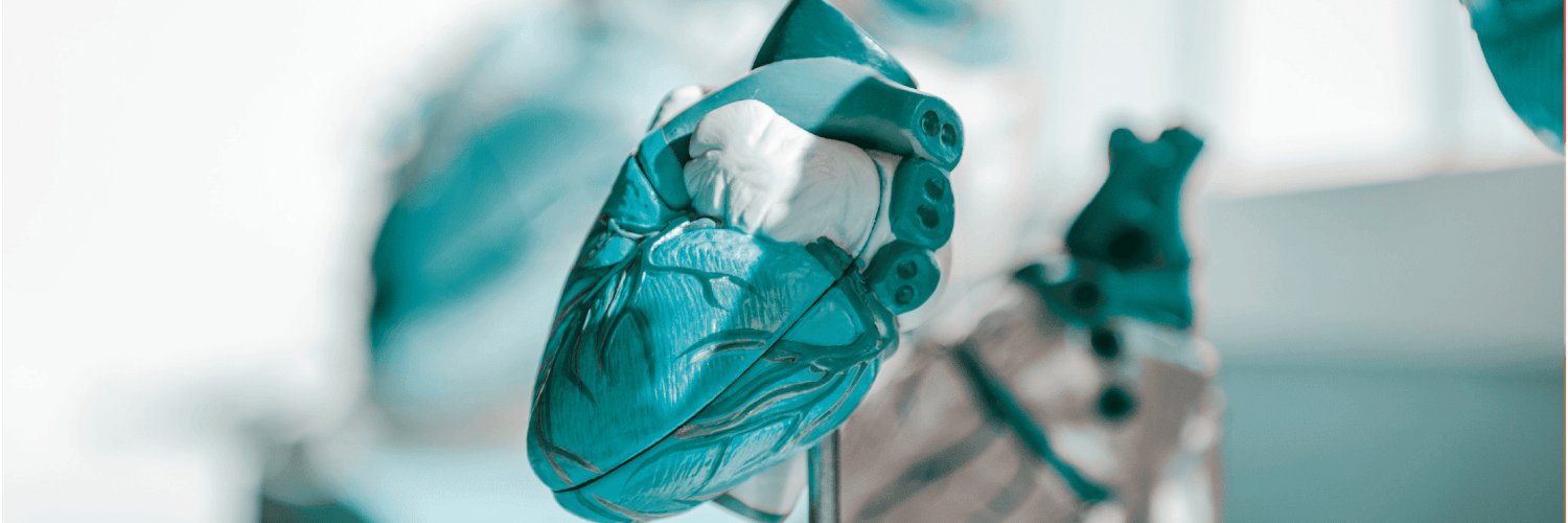 CardioPatch's profile banner image