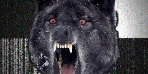 drowso's profile banner image