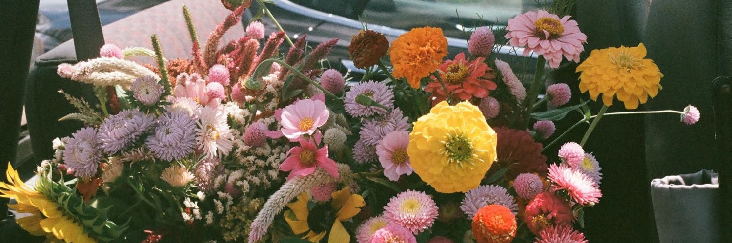 NJdubb_'s profile banner image