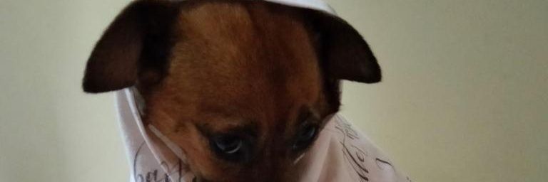 joaommmarques8's profile banner image