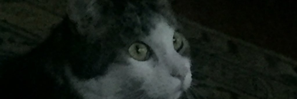 bagetta's profile banner image