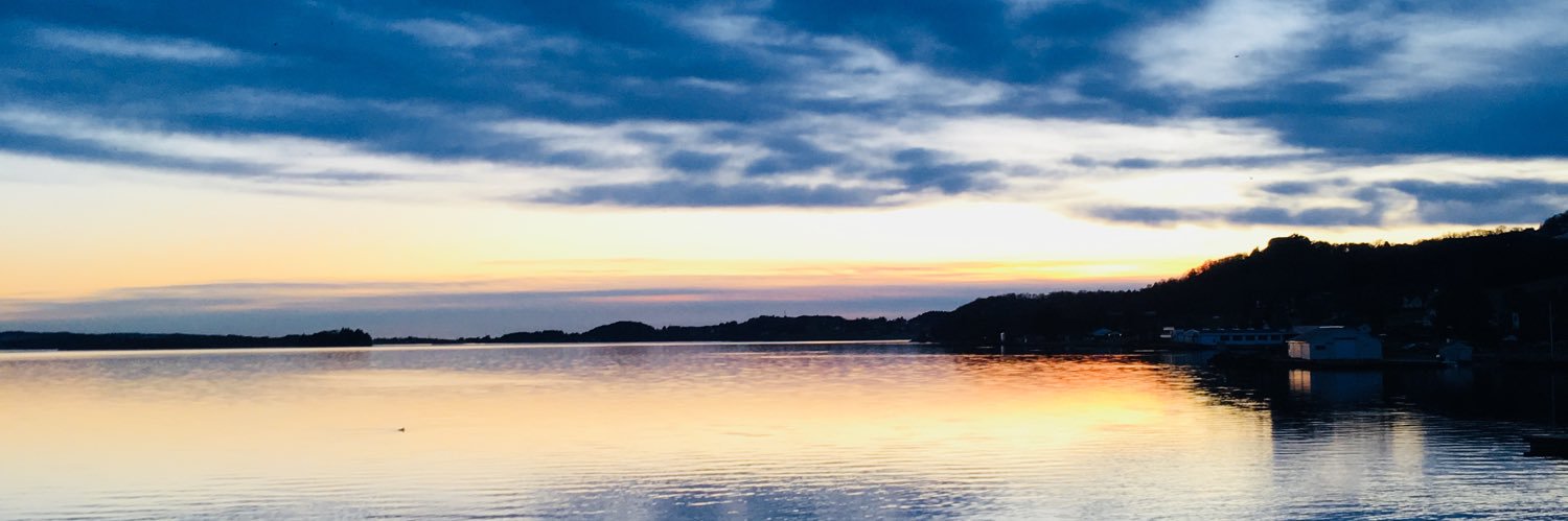 LisaEReese1's profile banner image