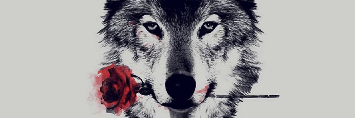 filippy's profile banner image