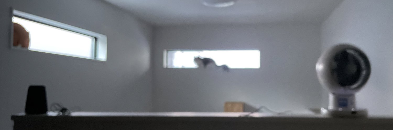 tctominyan's profile banner image