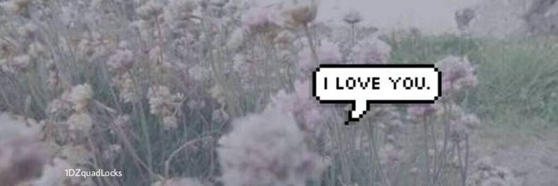 f_asima's profile banner image