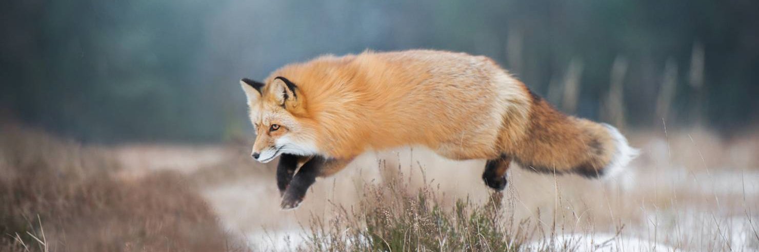 🤍❤️🤍 / 💙💛 / Всратосфера Всратослава banner