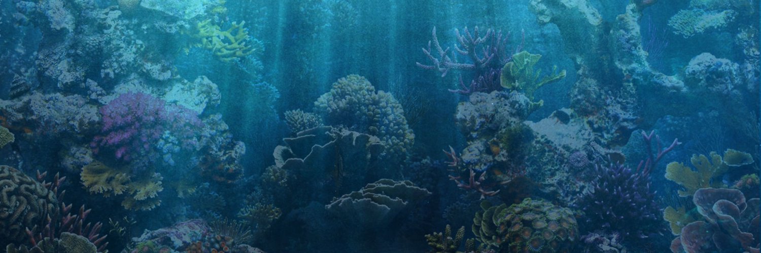 overrated1fish's profile banner image
