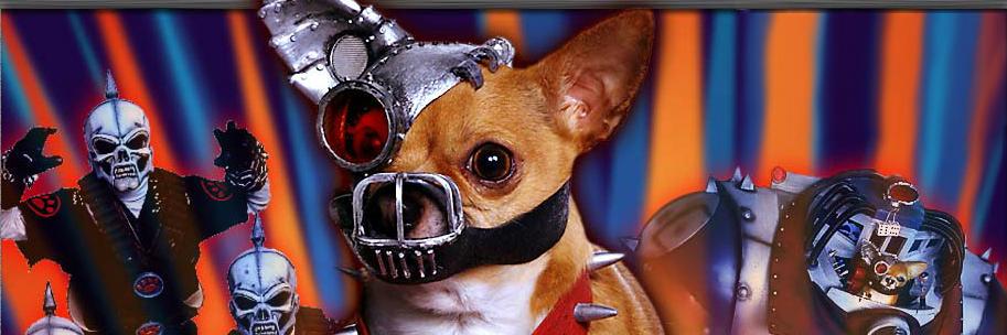 Matthew Fetchko banner