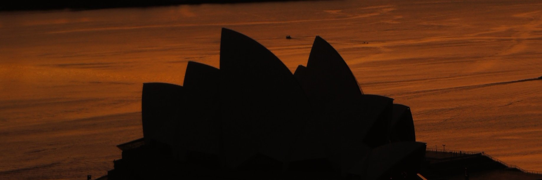 Catherine Gallagher banner