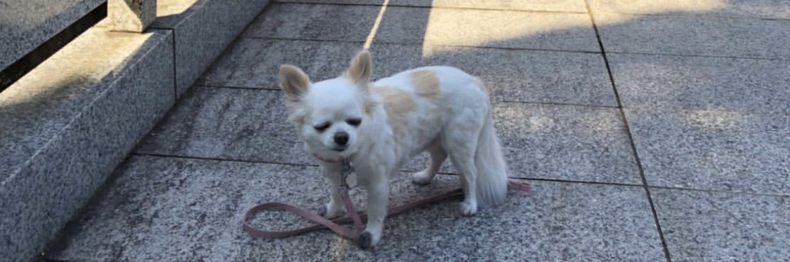 324Snowball's profile banner image