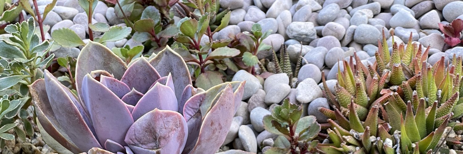 ᴊᴀᴋ ᴄooᴘᴇʀ banner