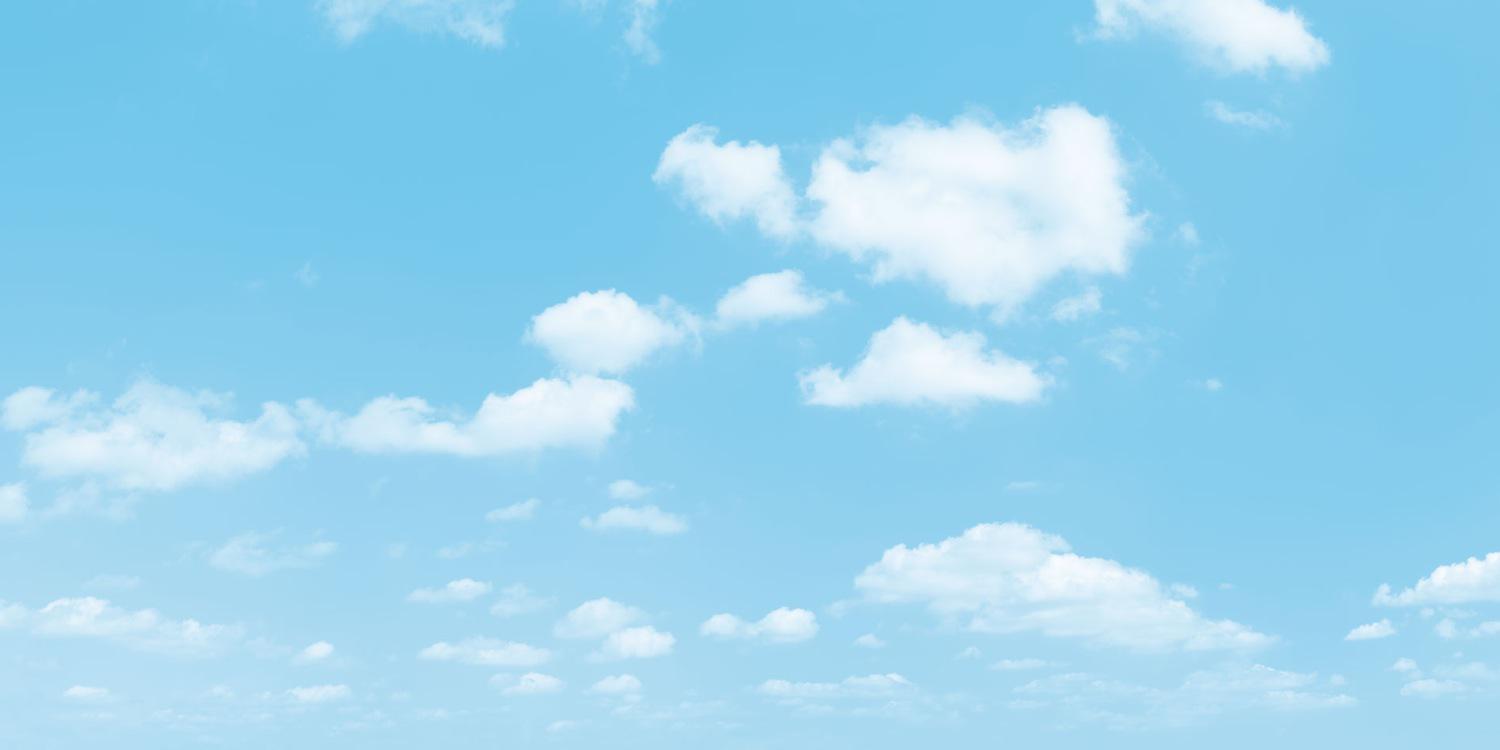 Rachel Shenton banner