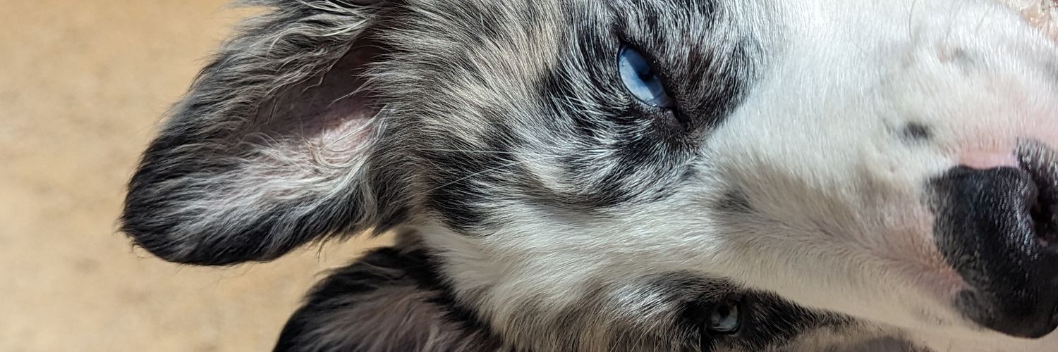 MarshJef's profile banner image