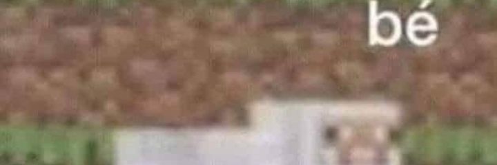 CELEBREIXON's profile banner image