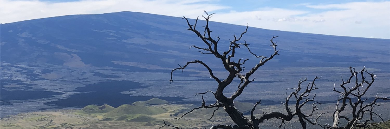 JudithHartl's profile banner image