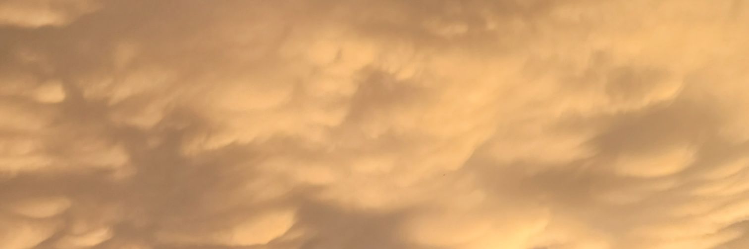 Fry_Sowhat's profile banner image
