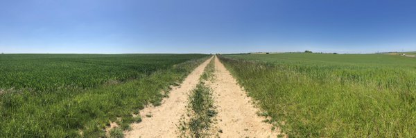 filatoff Profile Banner