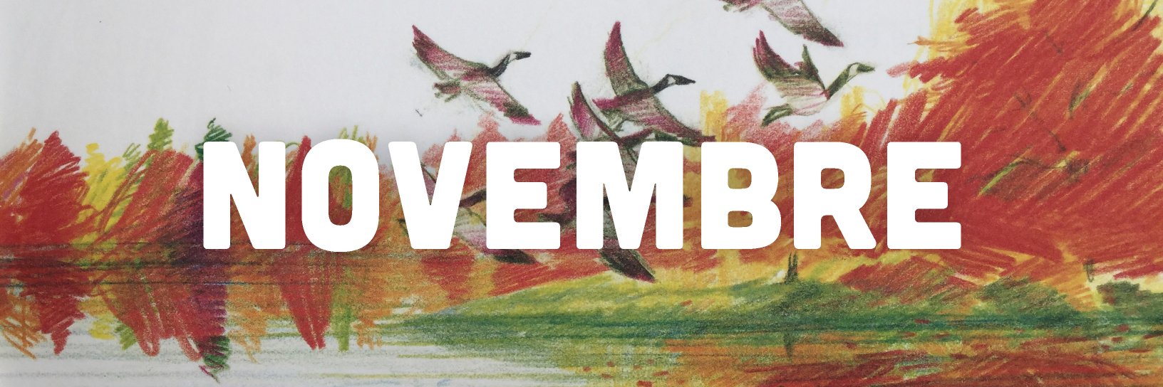 Scaffale Basso banner