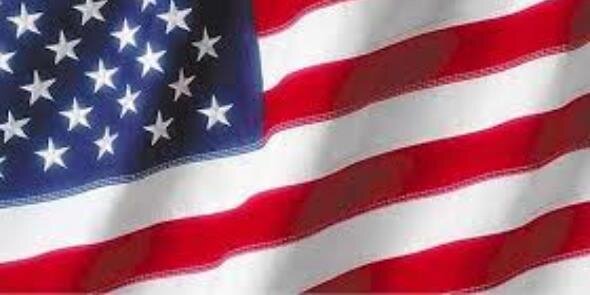 SeaBeeDee's profile banner image