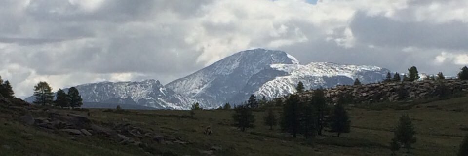 altai_kh's profile banner image