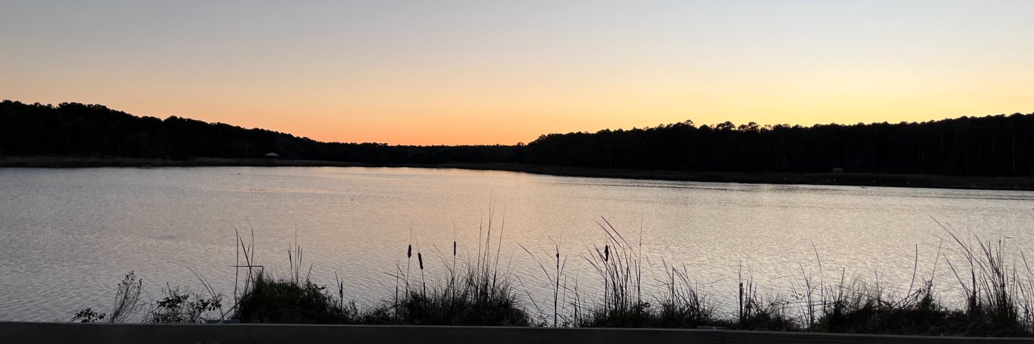 scwatson71's profile banner image