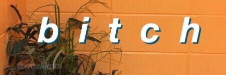 portatemidaljam's profile banner image