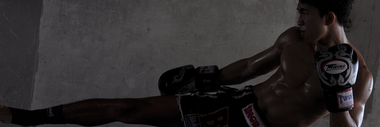 MuayThaiBot's profile banner image