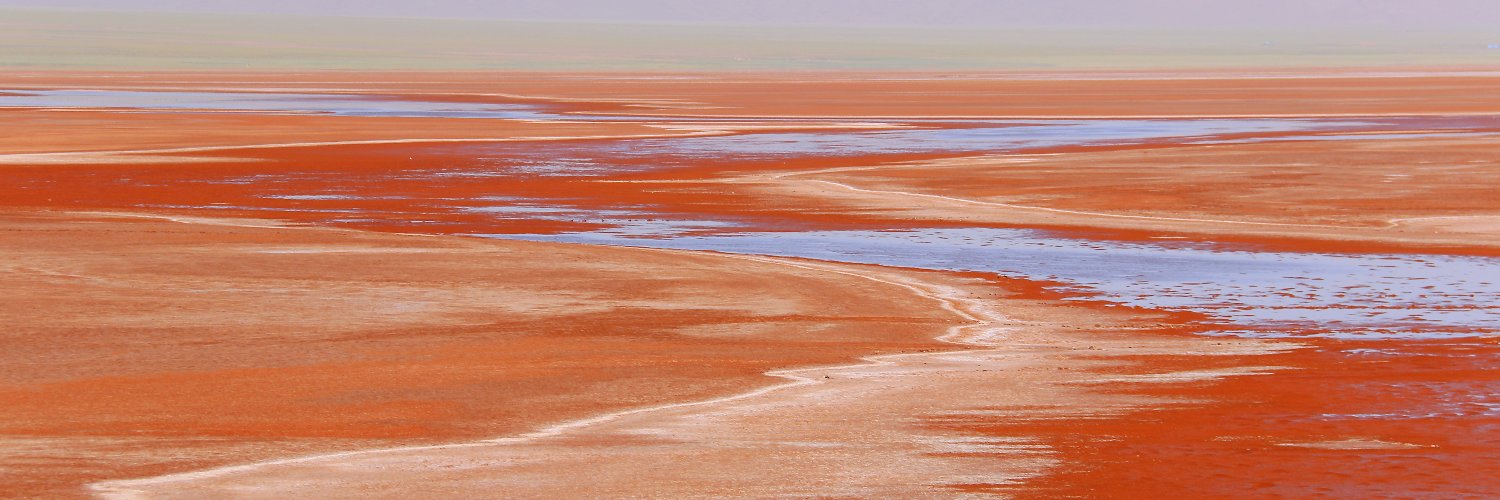 我叫陈福建 banner