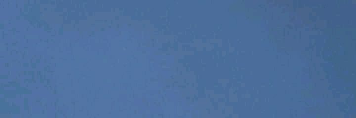سالم حيدرة banner