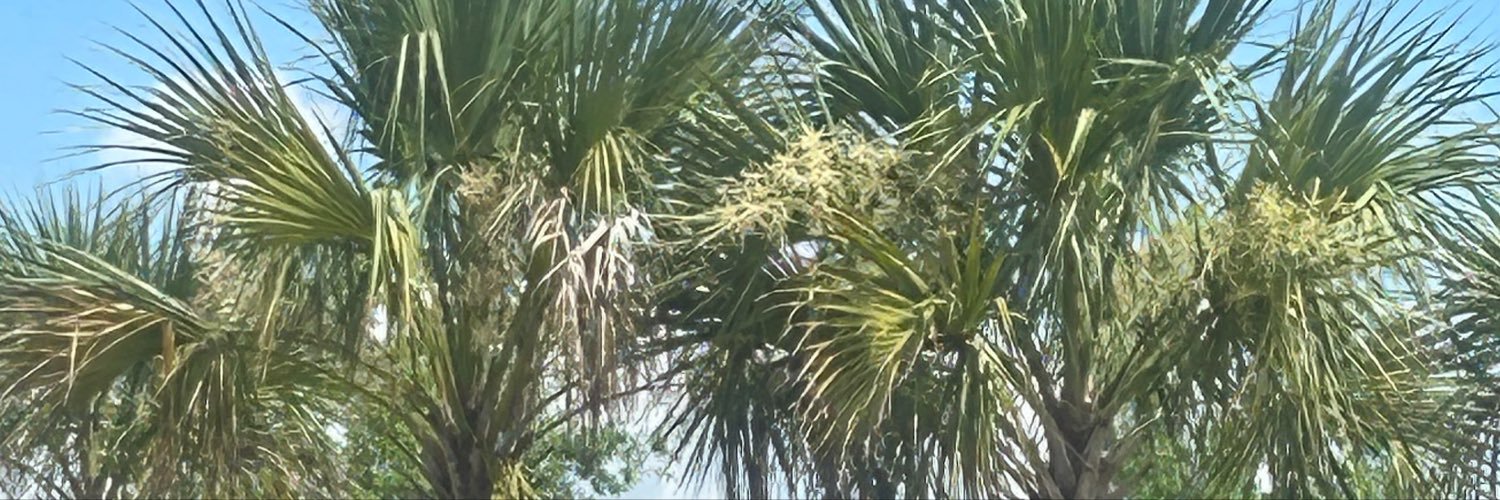 beachbaybee1's profile banner image