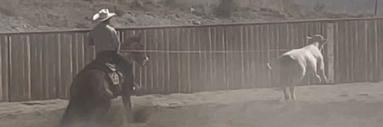 Casey Bieroth banner