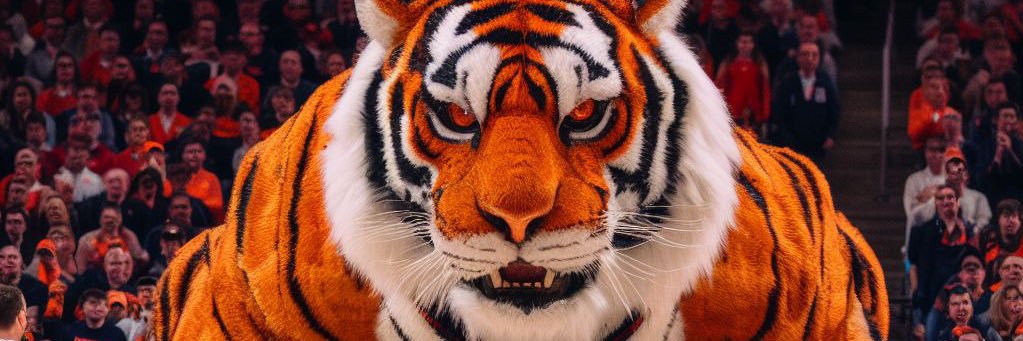 jonhouston18's profile banner image