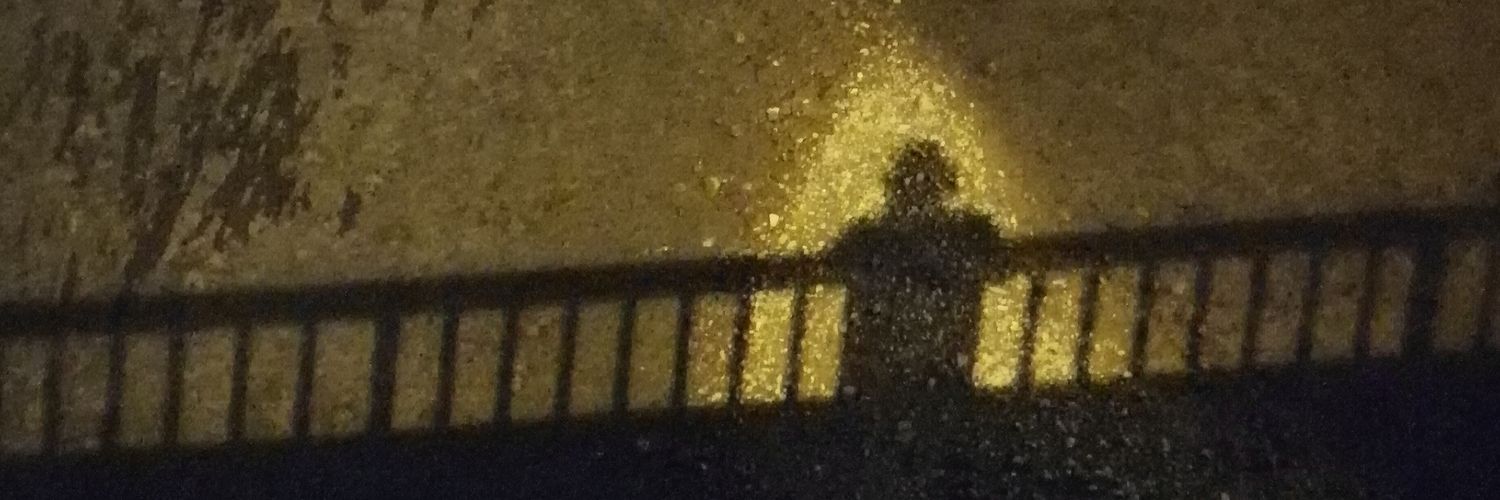 bedriyilmaz's profile banner image