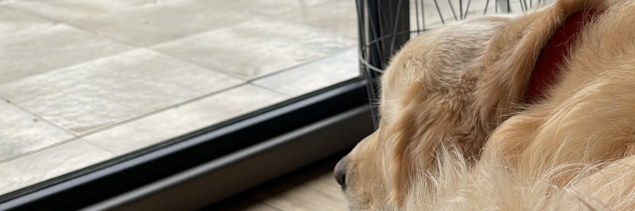 stephkleinn's profile banner image