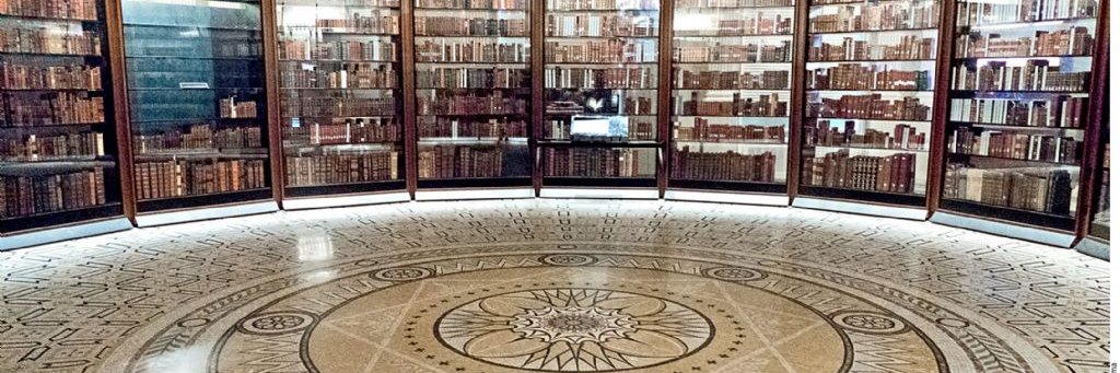 Estrella Gil García banner