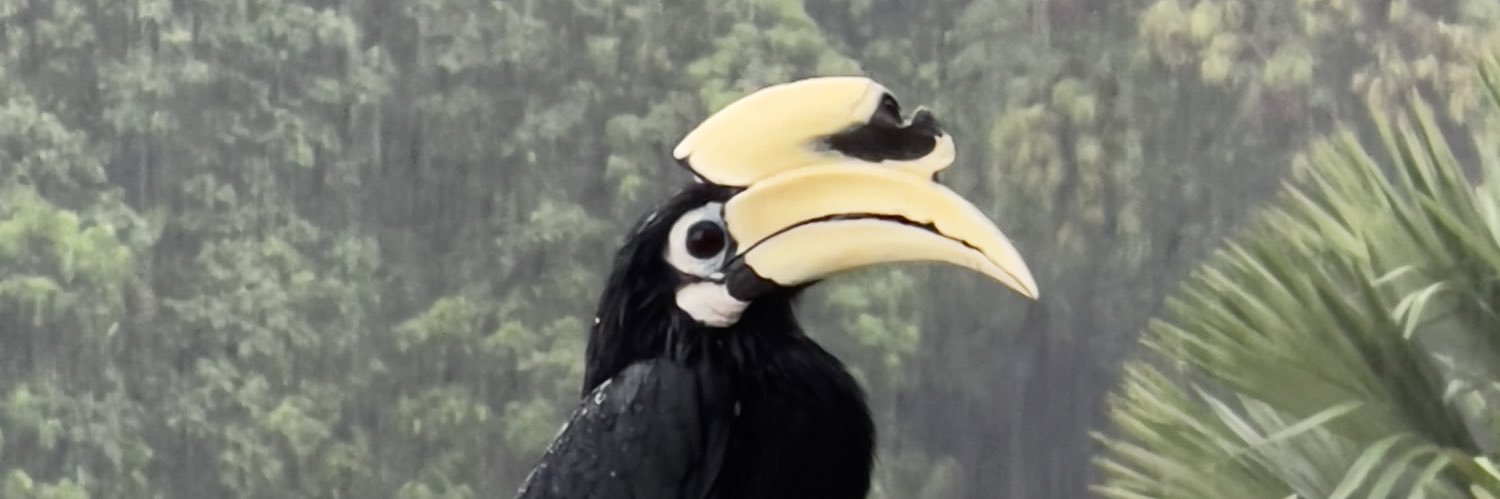 sgfull2's profile banner image